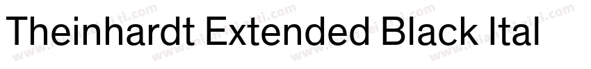 Theinhardt Extended Black Italic字体转换